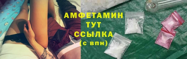 молекула духа Карпинск