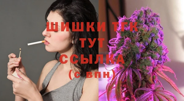 ешки Верхний Тагил