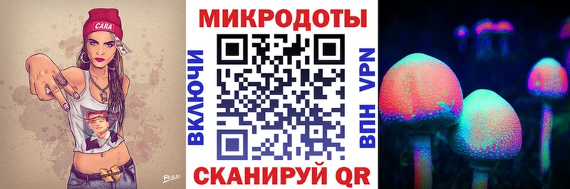 Псилоцибиновые грибы Psilocybine cubensis  сколько стоит  Волгореченск 